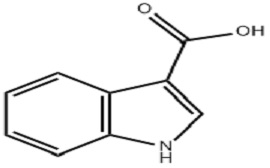 -3-״